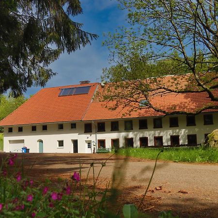 Schwarzwald Escape Hostal Gorwihl Exterior foto